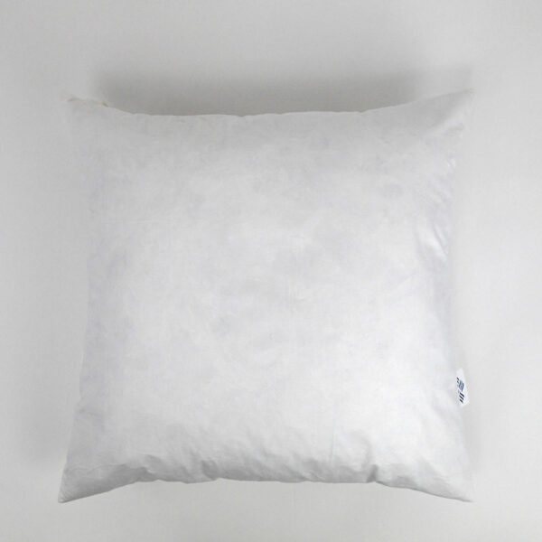 Feather Pillow - 22x22in.2/PKG