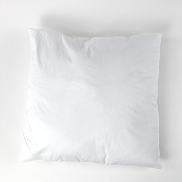 Polyester Pillow - 20x20in.2/PKG