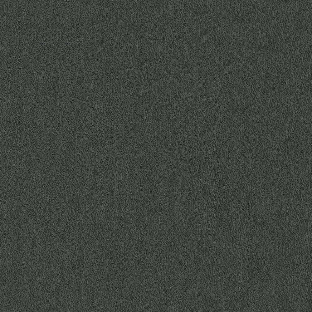 Claro 908 Graphite
