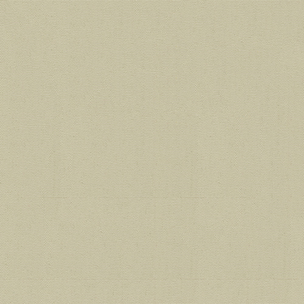 Top Gun 9 #872 Indian Birch