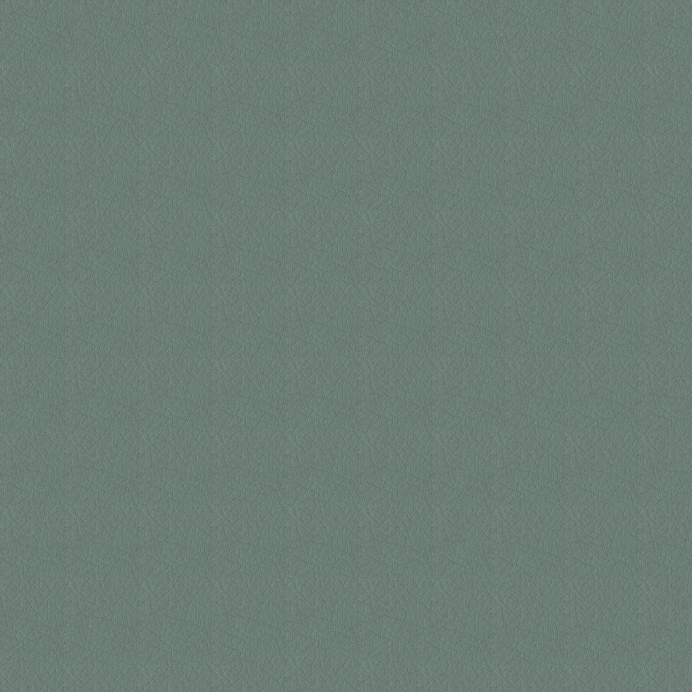 Whisper Vinyl 2134 Patina
